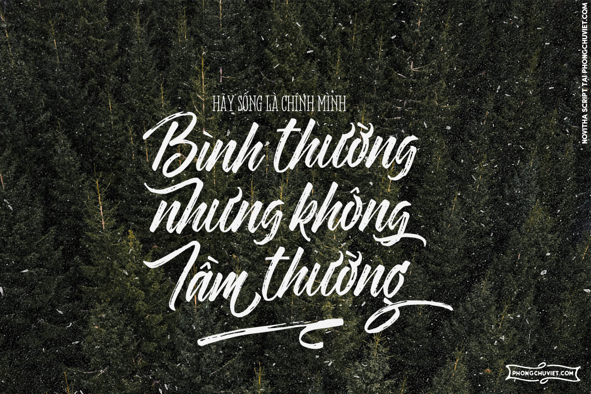 Việt hóa | FS Novitha Script: Brush script với nhiều alternates