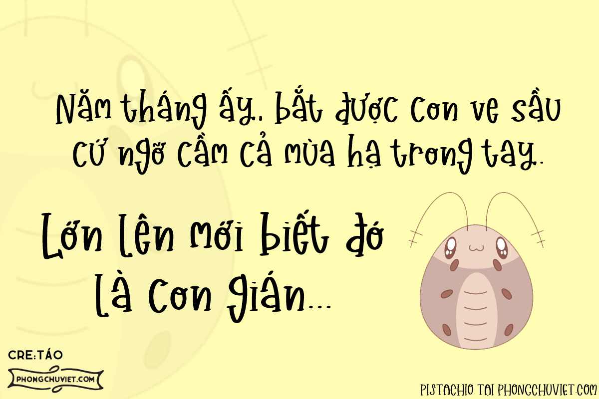 Việt hóa | FS Pistachio: Font cho các thiết kế trẻ em