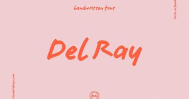 Artcoast Fonts | SA Del Ray Handwritten Font (1 font) ~ $15