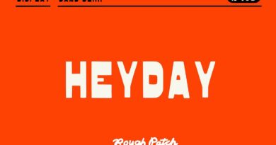 Rough Patch Studio | HeyDay | Sans Serif Display Font (1 font) ~ $14